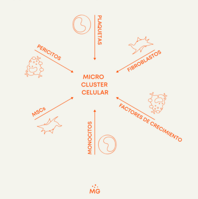 micro cluster celular