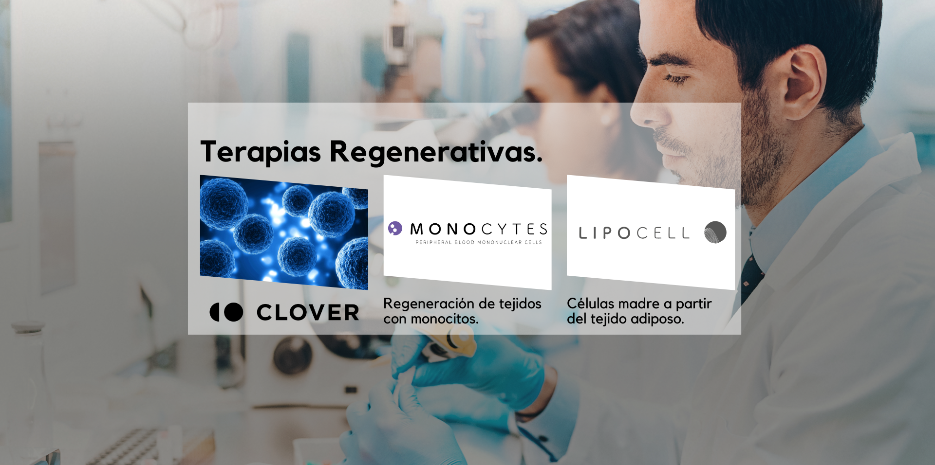 terapias regenerativas con monocitos y células madre en Oyasama